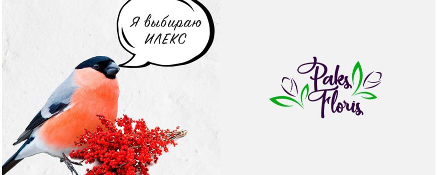 Я выбираю Илекс